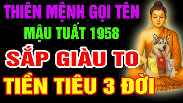 Thiên Mệnh Gọi Tên, Mậu Tuất 1958 Sắp Đổi Đời Giàu To, Phước Báu Tài Lộc Tự Đến Nếu Có Dấu Hiệu Này