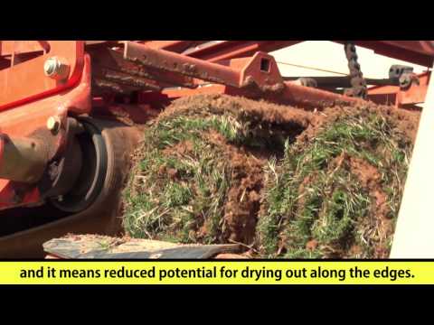 Super-Sod's New Trebro AutoStack II Sod Harvester
