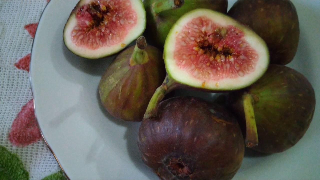  Rasa buah Tin  Ara matang ada yg manis dan ada yg sedikit 