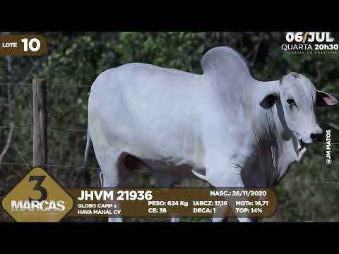 LOTE 10 JHVM 21936