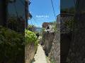 尾道で過ごしたあの夏へ。 #shorts #vlog #尾道