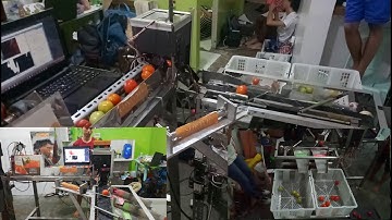 Industrial Electronics - Tomato Sorting Machine