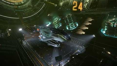 Elite Dangerous Landing Pad Bug