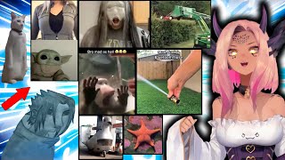 Trickywi Reacts To More H-Matter & NEAT @Zularak