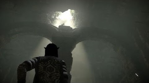 SHADOW OF THE COLOSSUS (PS4) Barba