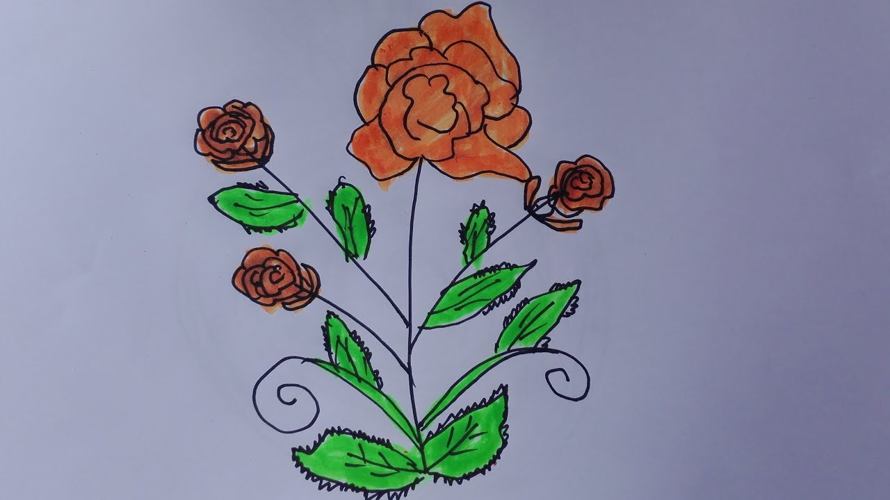 How to draw a rose tree-draw a rose bush easy-draw a rose bush step by