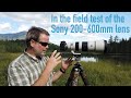 In The Field Review of the Sony 200-600mm Zoom Lens