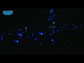 【Argonavis】Steady Goes!【前田誠二歌唱Ver.】