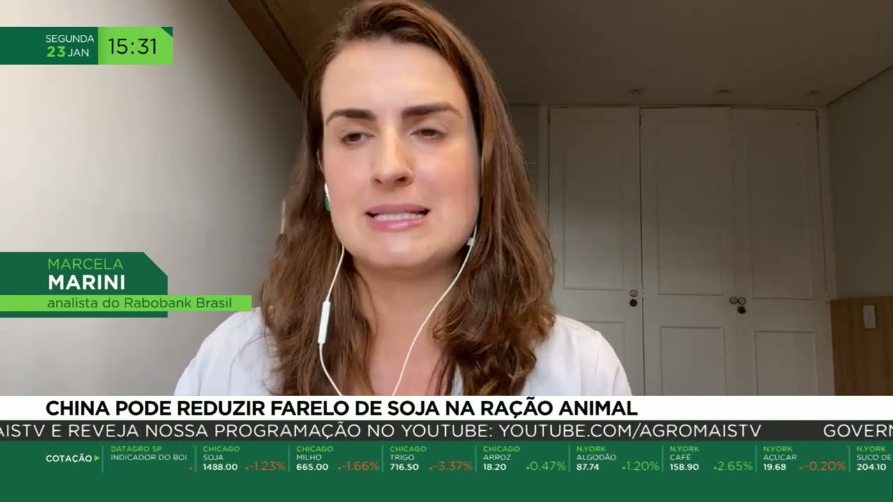 China pode reduzir farelo de soja na ração animal