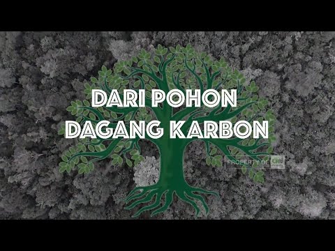 Video: Apakah hutan penyerap karbon?