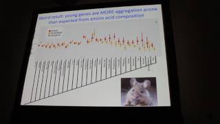 Masel:How are proteins different from the random sequences from which they once evolved
