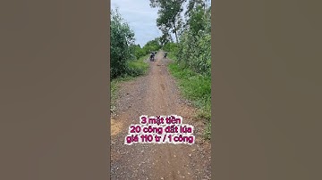 Bán 2 mẫu đất lúa 3 mặt tiền ở thị trấn bình phong thạnh,mộc hóa, long an #muabandatgiare