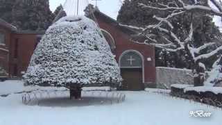 เที่ยวญี่ปุ่น ฮอกไกโด Winter Hokkaido (Otaru Hakodate) part 4