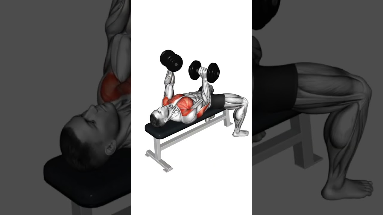 Brust Übungen NUR mit Kurzhanteln - Brust Training 