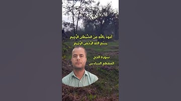 سورة الحج المقطع السادس.. محمود الجزار