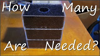 How Much Filtration Do You Need Experiment?