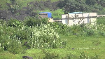 Shivneri MSRTC in Mumbai Express Way