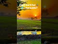 Nadi me Batak ka Nahna 🦆💦  Peaceful Nature Video#duck #village #nature #shorts #relax #gaon #animals