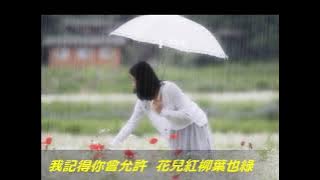 #淡水河邊  (華語版)   原唱：#余天 （高麗娟/陳家慧）#柳ヶ瀬ブルース