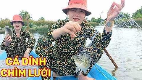 Giăng Lưới Cá Rô Phi Dính Chìm Lưới và Những Món Ngon Cho Gia Đình - Sông Nước Cà Mau.