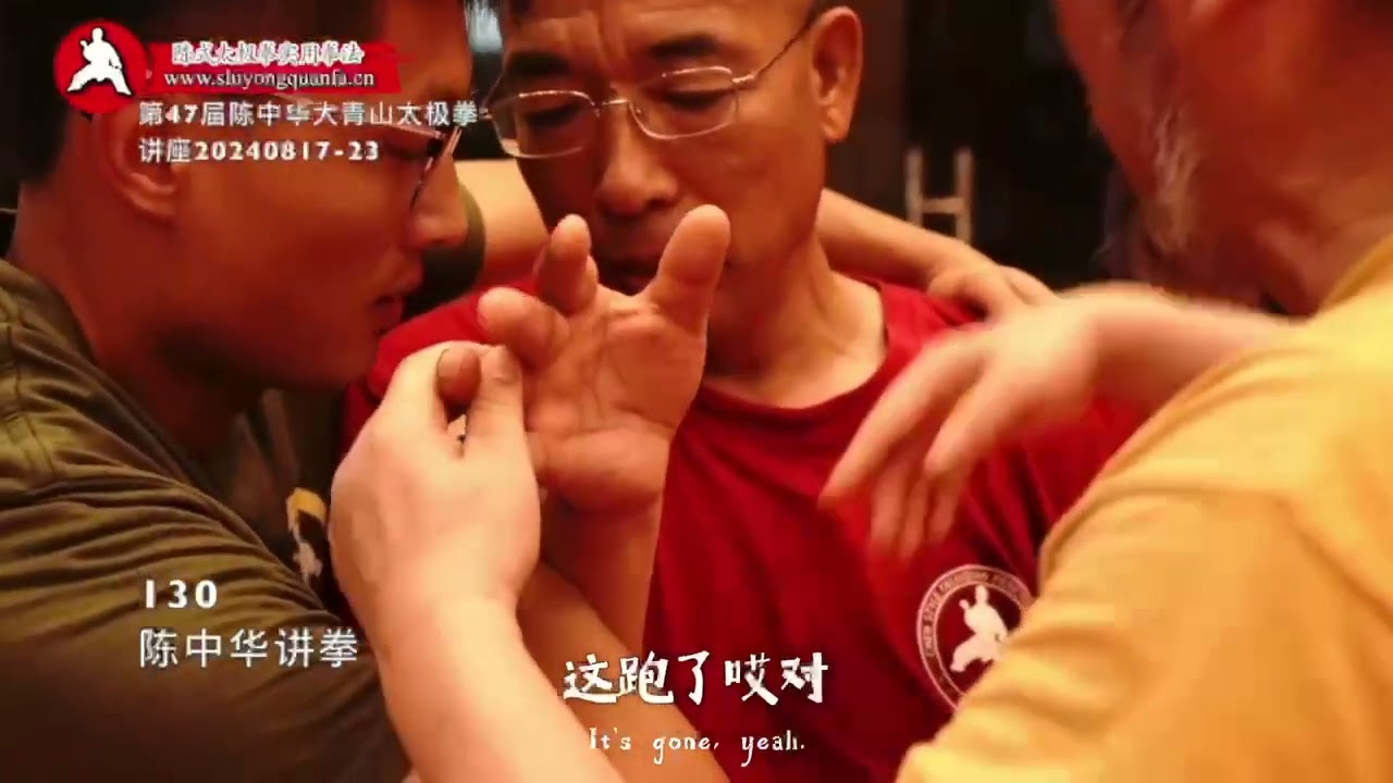 把空虚折没 130 陈中华讲拳 47届大青山讲座20240817 23