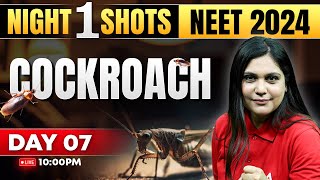 Cockroach Class 11 One Shot | Night Shots Series | NEET 2024 | Garima Goel