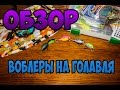 ТОП 5 убойных воблеров на голавля #2 (воблеры для ловли голавля 2016) + подводная съемка