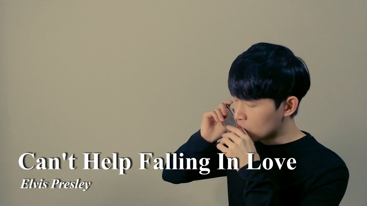 Elvis Presley Can't Help Falling In Love, Harmonica YouTube