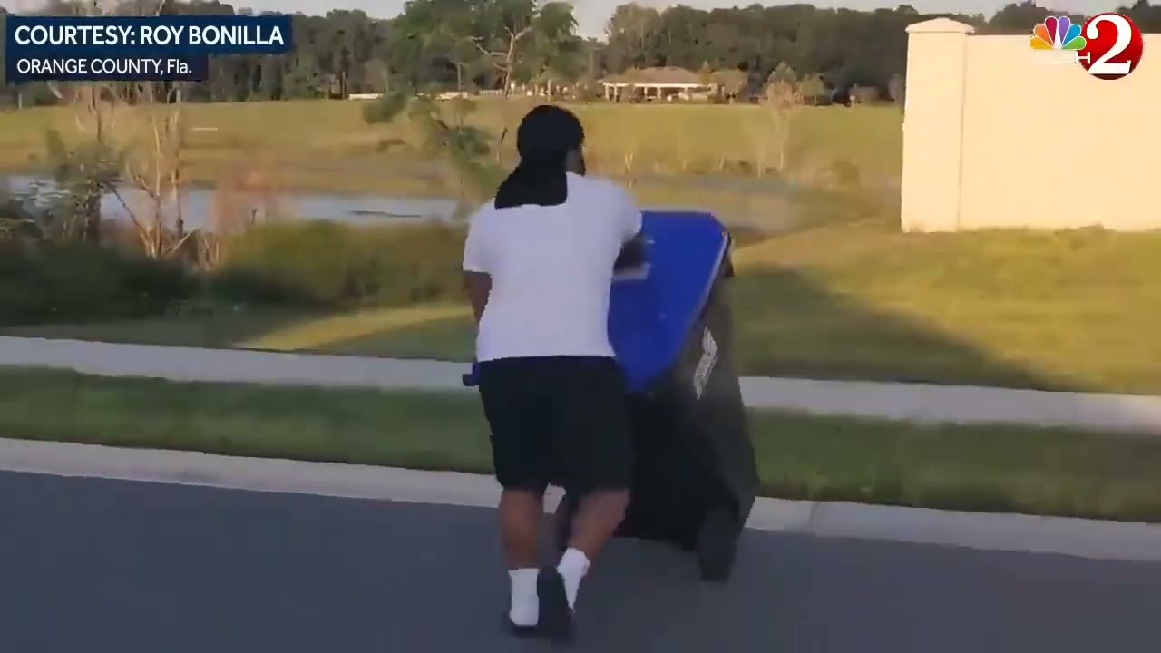 Florida man removes alligator from neigborhood with trashcan