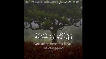 تلاوة هادئة وقصيرة|  ماهر المعيقلي | من سورة البقرة  ❤️🌹❤️
