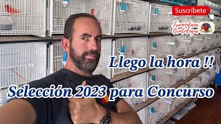 Selección para concursos 2023