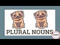 Understanding Plural Nouns
