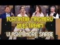 🔴 FORMATIA MAGHERU ❌ MUZICA POPULARA 2021 ❌ VLASKA HORE SARBE ❌ LIVESTREAM  (cover-uri)