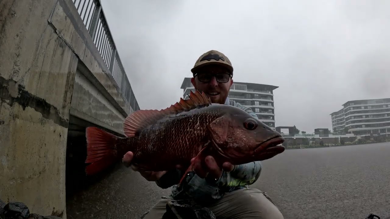 Fishing the Gold Coast Land Based with lures! (Unexpected catch)