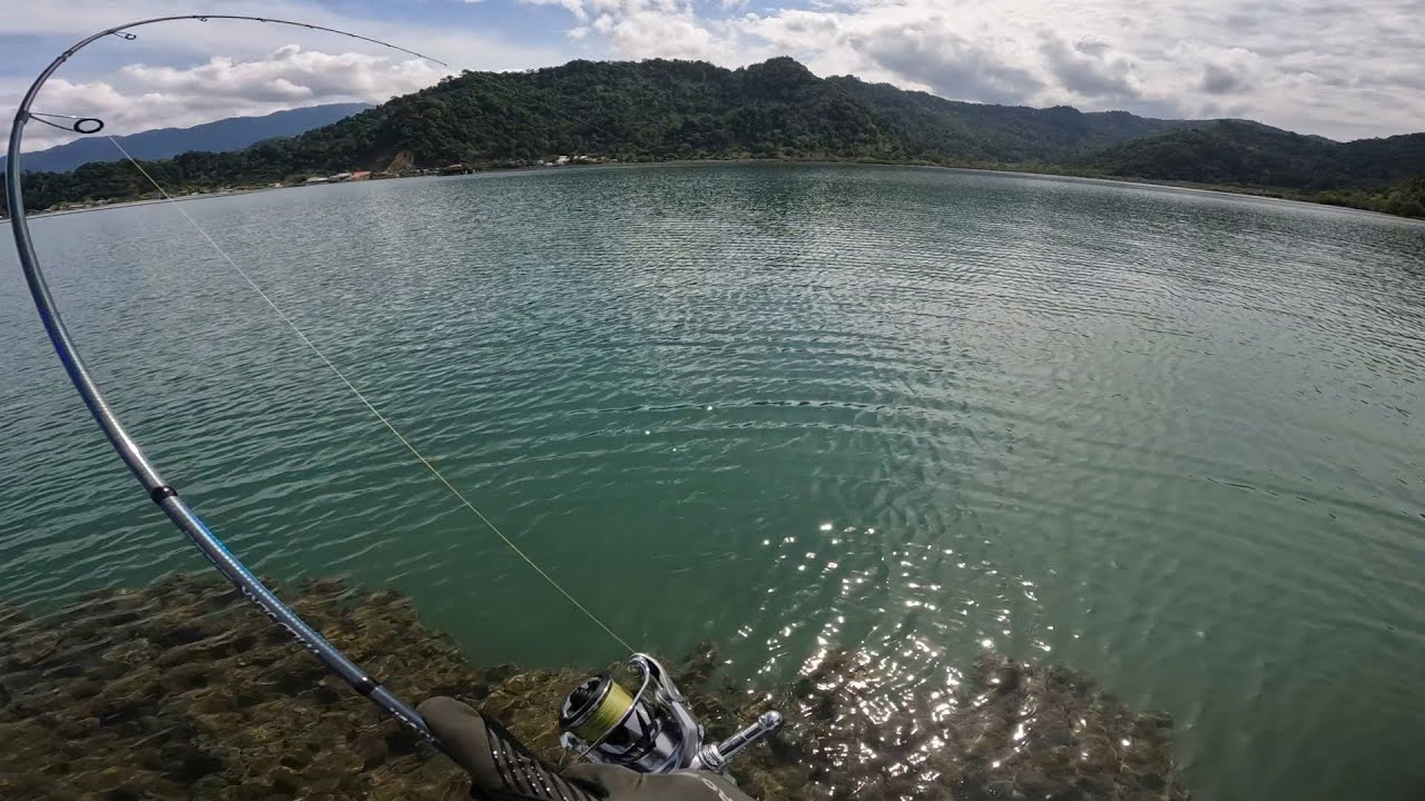 SOLO CASTING !! Serunya Petualang Melewati Hutan demi Mencari Ikan Target 