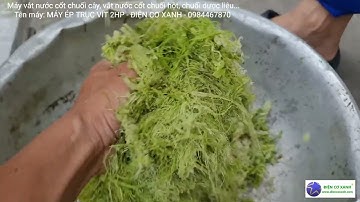 Máy vắt nước cốt thân cây chuối, vắt nước cốt chuối hột, chuối thực dưỡng - Điện Cơ Xanh  0984467870