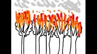 Celebrity Project X in 50 seconds (Animated) Wealth