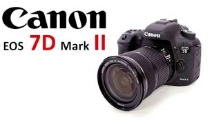 Зеркальный фотоаппарат Canon EOS 7D Mark II – обзор