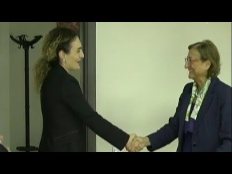 ქეთევან ციხელაშვილი ევროსაბჭოს გენერალური მდივნის მოადგილეს შეხვდა