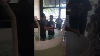 Nathan baptism