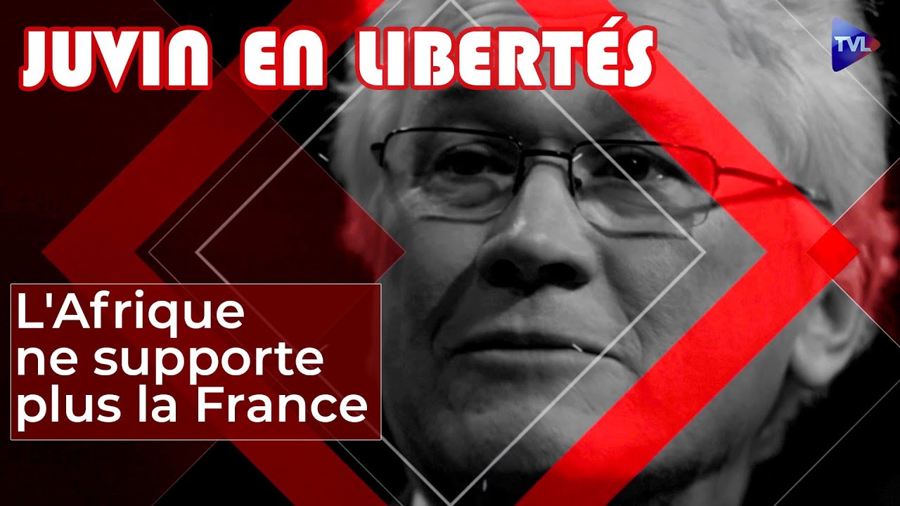 [Format court] Quand l'Afrique ne supporte plus la France - Juvin en Libertés - TVL