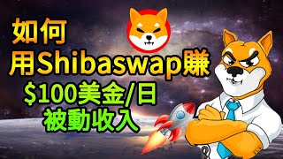 柴犬幣｜如何用Shibaswap 賺100美金一天被動收入 （中文字幕）