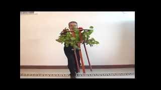 Hamed Flying Flower Vase @ hocus-pocus.com