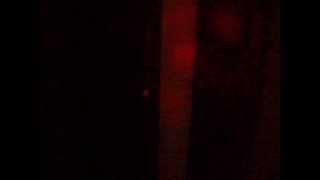 Ontario Coyotes howling in my backyard part 2