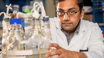Environmental Engineer Kartik Chandran, 2015 MacArthur Fellow