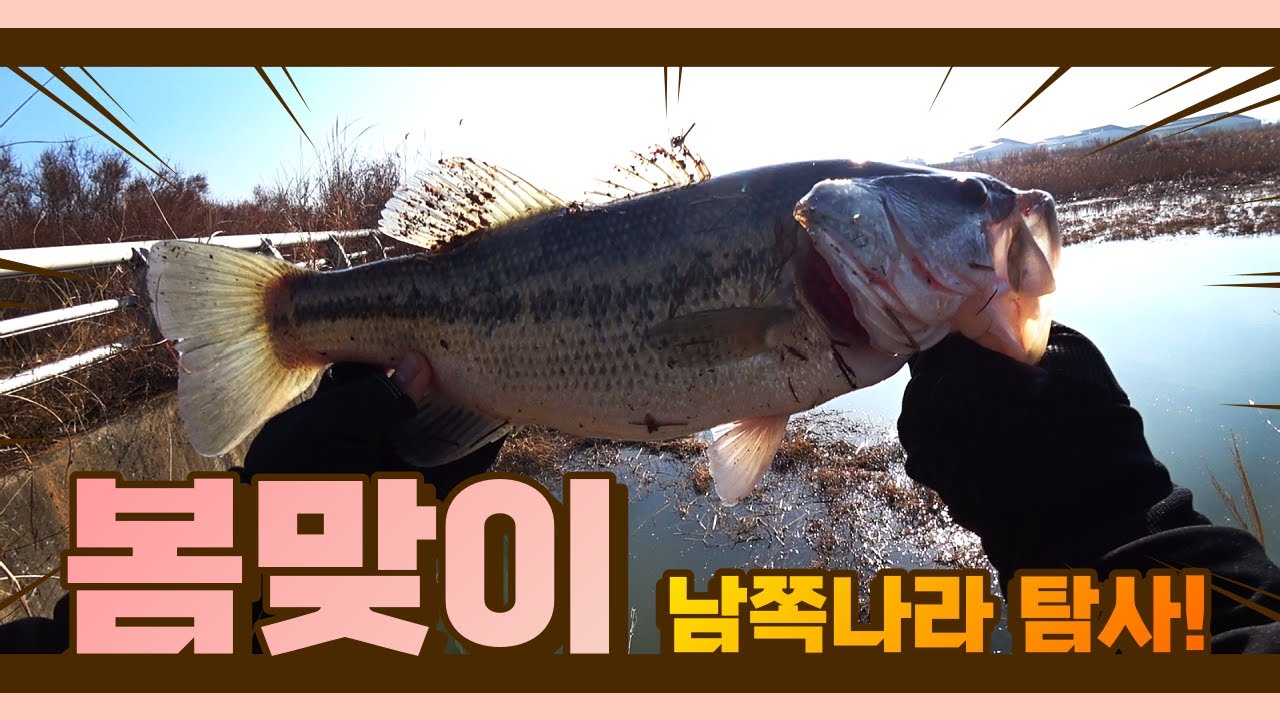 봄맞이 배스낚시🎣 따뜻한 남쪽나라 둘러보고 왔습니다🕵️ - Bass Fishing