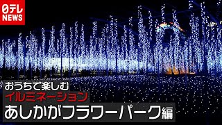 【おうちでイルミネーション】「あしかがフラワーパーク」 ～光の花の庭～