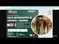 📚DIPLOMADO EN  ECOGRAFIAS REPRODUCTIVAS EN VACUNOS Y EQUINOS 📚CURSO: CICLO REPRODUCTIVO EN VACUNOS