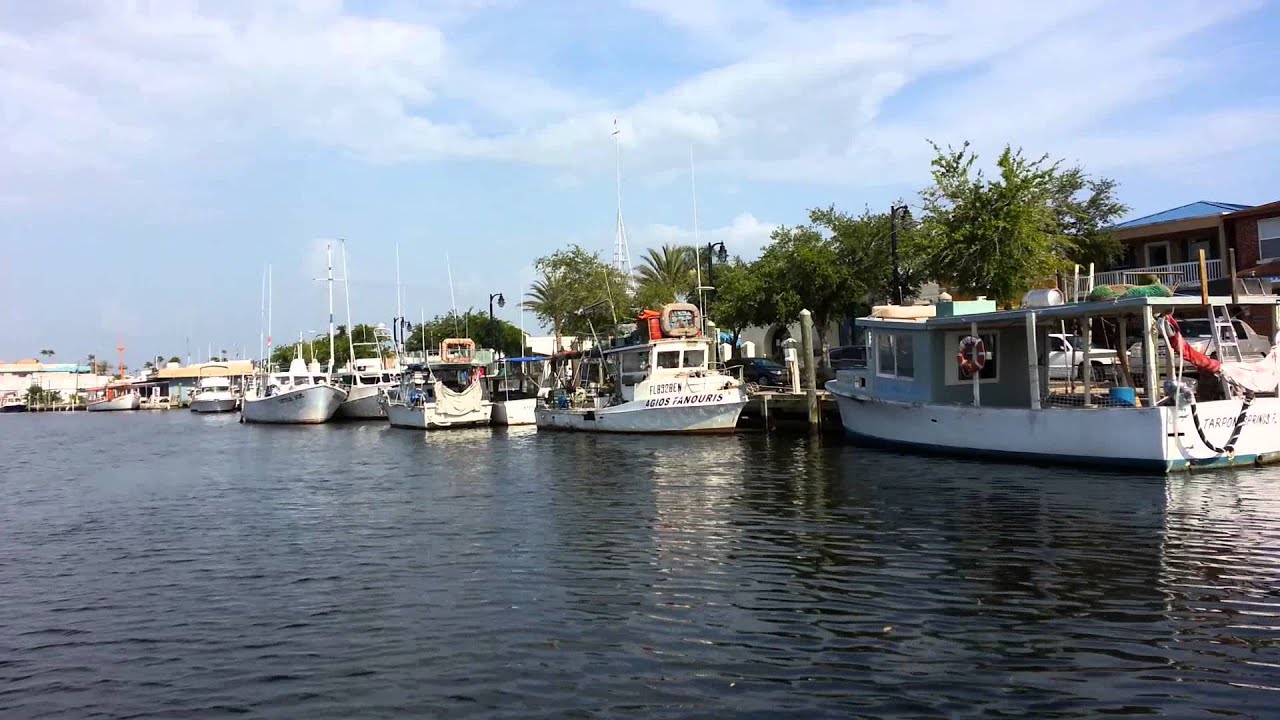  Gulf of Mexico, New Port Richey shores