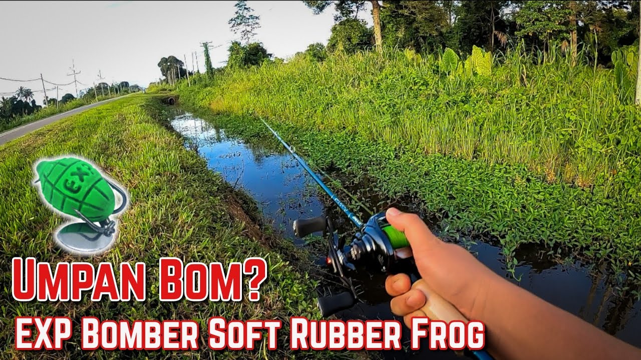 Casting Haruan Tepi Jalan | EXP Bomber Soft Rubber Frog